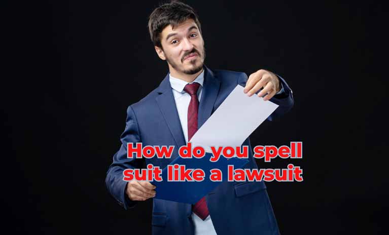 how do you spell suit like a lawsuit