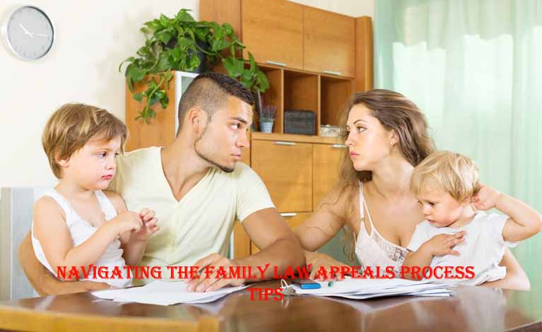 Navigating the family law appeals process tips